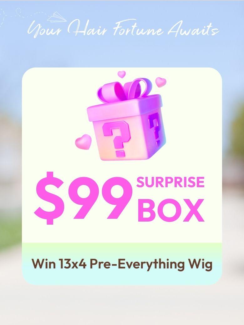 $59 Surprise Box Win 24 Inch Bye-Bye knots Wig Value $159-$219
