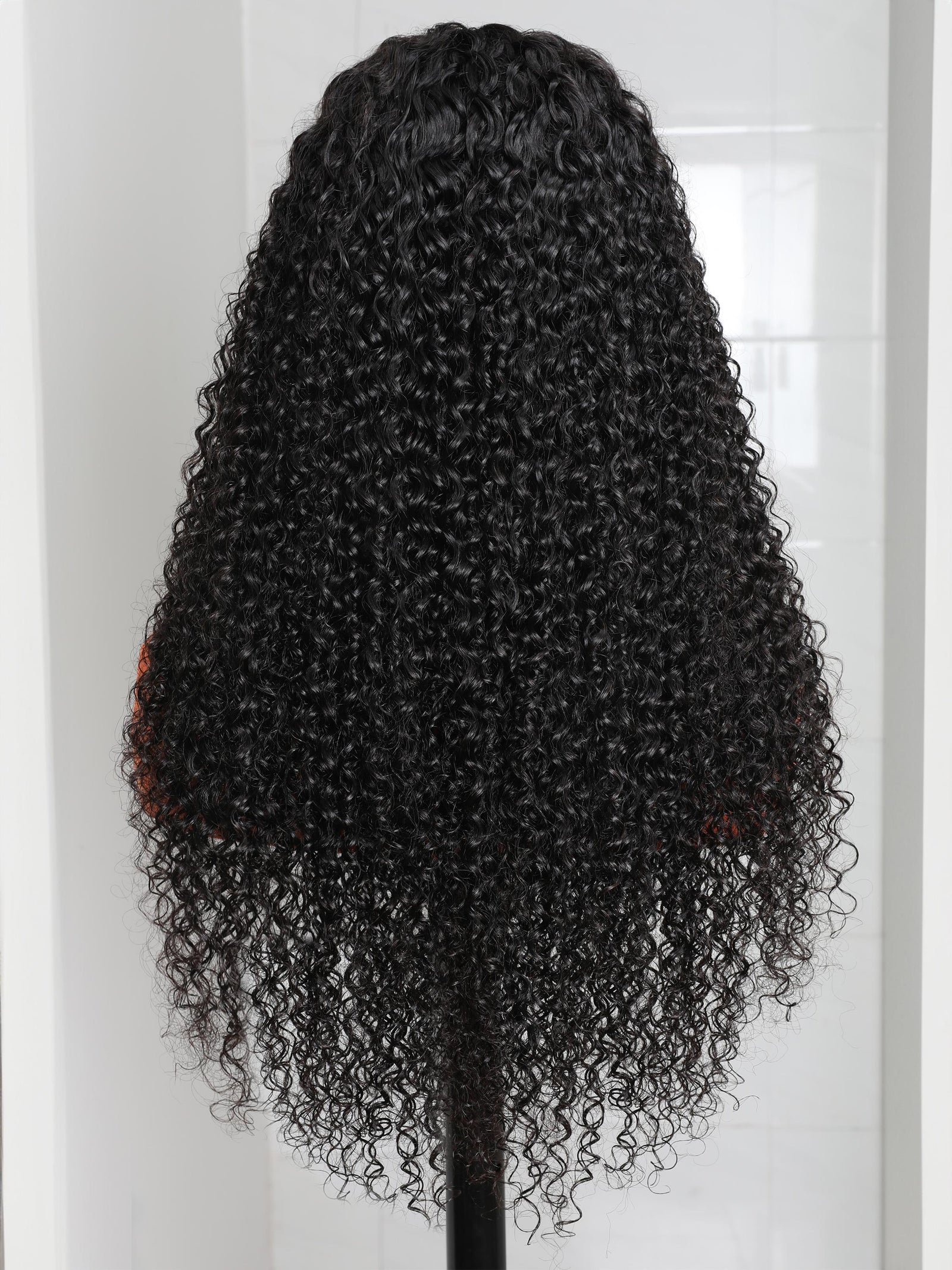 Undetectable HD Lace Wigs 13x4 Curly Lace Front Wigs Human Hair Transparent Glueless Lace Wigs