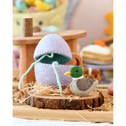🐣2026 New Easter Arrivals - Surprise Easter Egg from Wool Felt