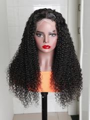 Undetectable HD Lace Wigs 13x4 Curly Lace Front Wigs Human Hair Transparent Glueless Lace Wigs