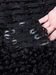 CLASSIC CLIP-INS CURLY: NATURAL BLACK