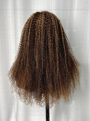 Honey Blonde Sun Kissed Highlights 13x4 Transparent Lace Front Kinky Curly Wig 150% Density
