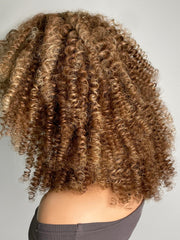 13x4 Pre-cut Lace Front Kinky Curly Honey Blonde Afro 16 Inch Shoulder Length Wig