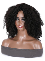 Natural Black Afro Kinky Curly Human Hair Glueless Wig for Sale