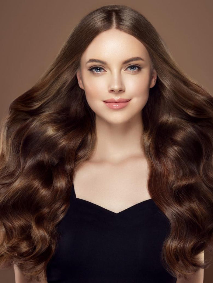 Petaluxe Dark Brown Human Hair Clip In Extension
