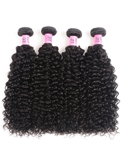 Hair 4 Bundles Brazilian Virgin Jerry Curly Hair With Lace Closure
