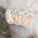 Reative 3D Easter Cookie Mold for Baking Style 2