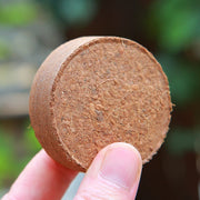 ✨Premium Organic Coconut Coir Bricks for Plants（Size：5*1.5cm）