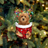 Red Goldendoodle in Snow Pocket Ornament