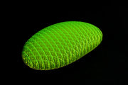 🔥Worm Big Fidget Toy